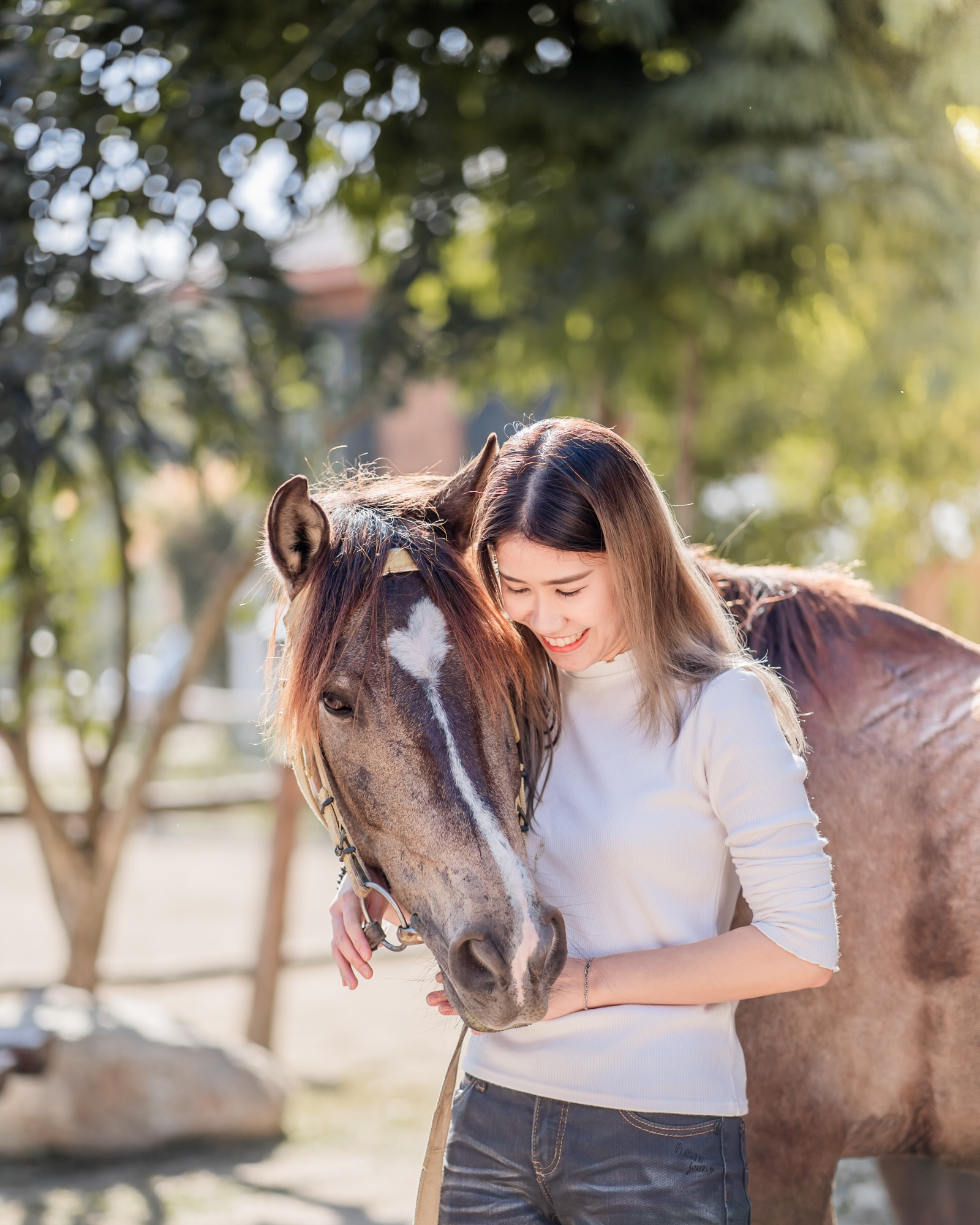 Horses at Pong Horse Park, Chiang Mai