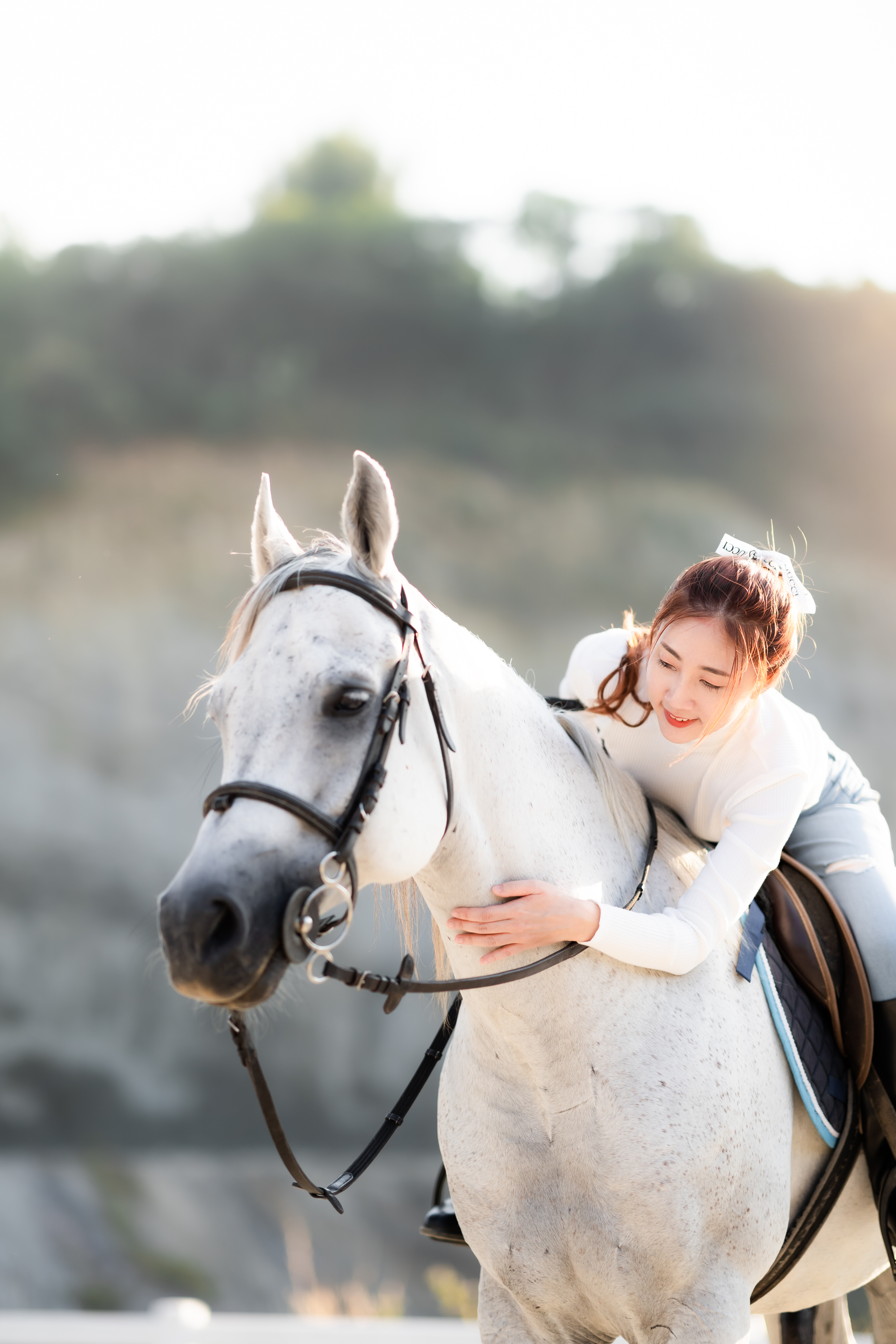 Classical horsemanship at Pong Horse Park